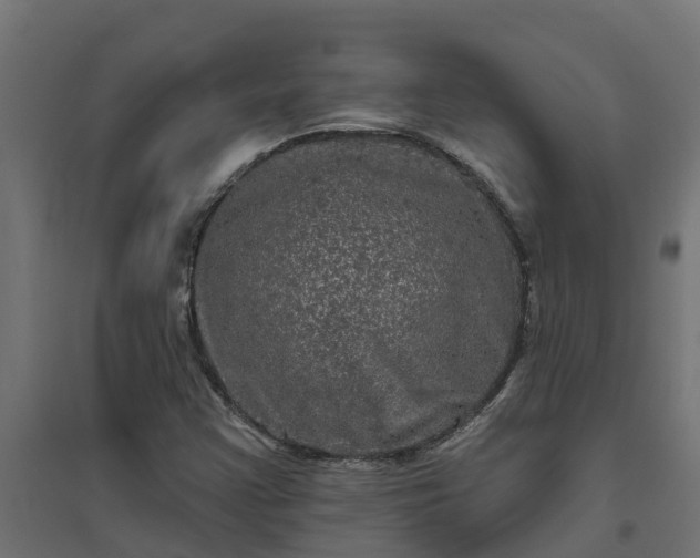 X0000094791355200711241352