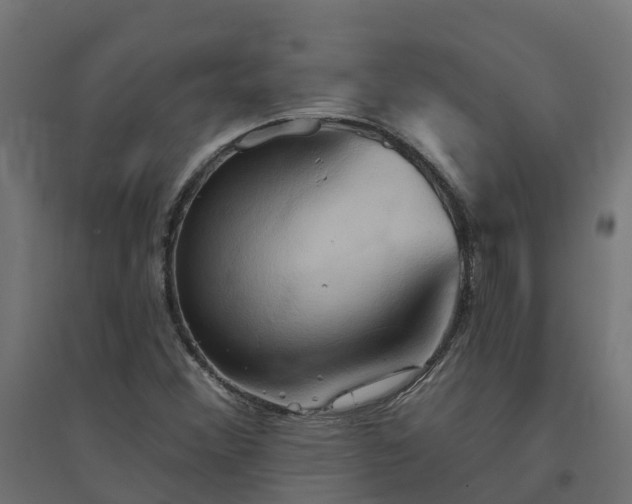 X0000094791356200711241352