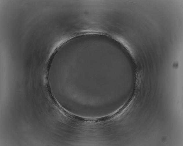 X0000094791357200711241352