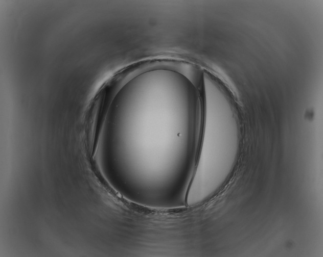 X0000094791360200711241352