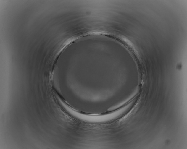 X0000094791361200711241352