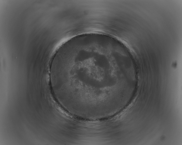 X0000094791363200711241352