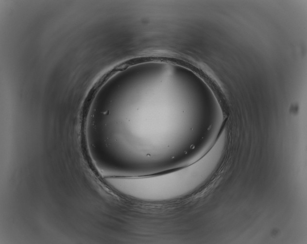 X0000094791364200711241352