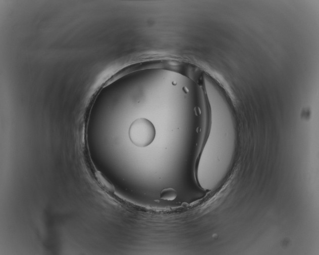 X0000094791365200711241352