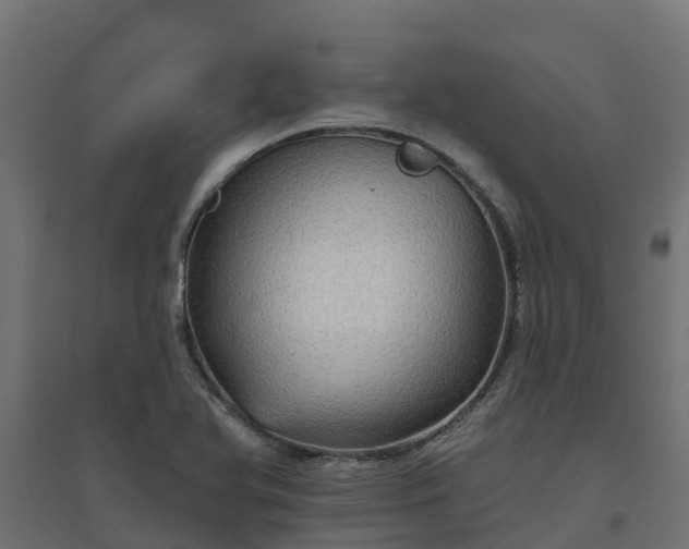 X0000094791366200711241352