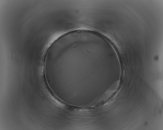 X0000094791367200711241352