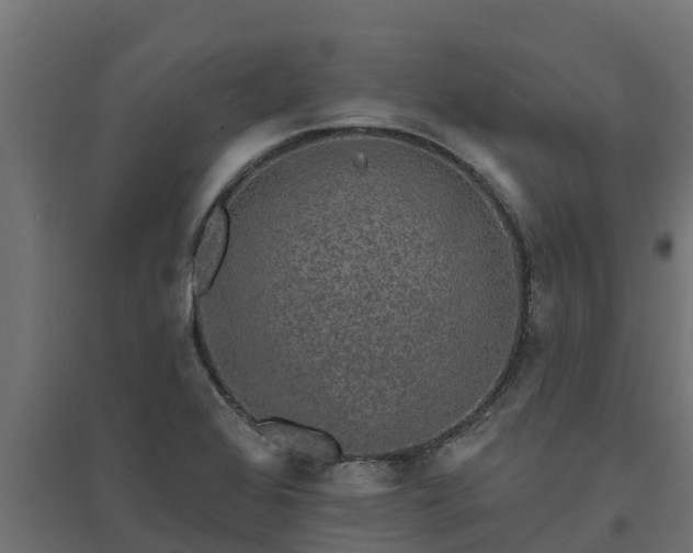 X0000094791368200711241352