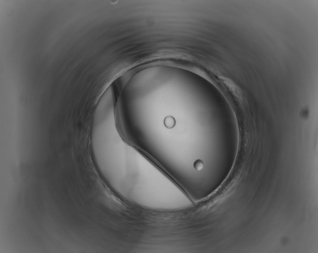 X0000094791369200711241352