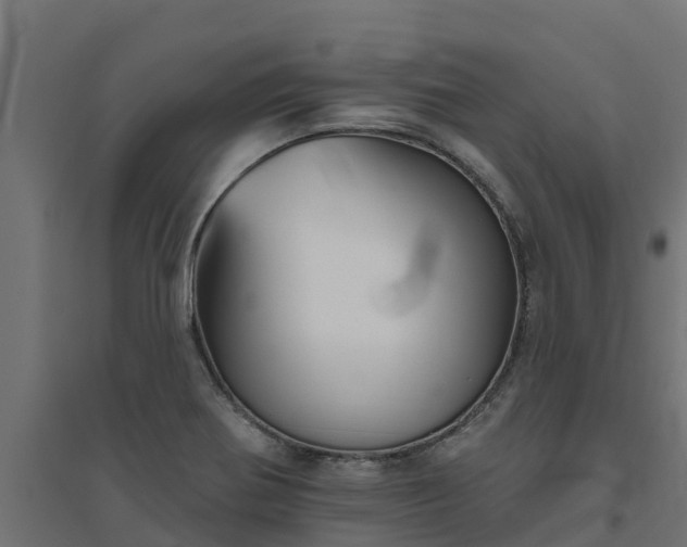 X0000094791370200711241352