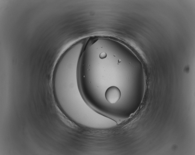 X0000094791372200711241352