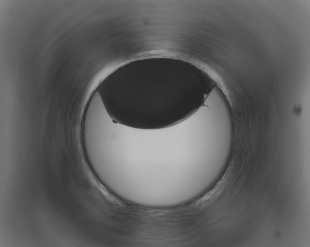 X0000094791373200711241352