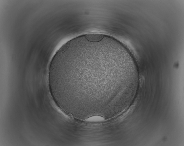 X0000094791374200711241352