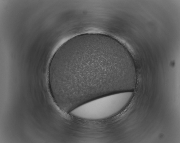 X0000094791375200711241352