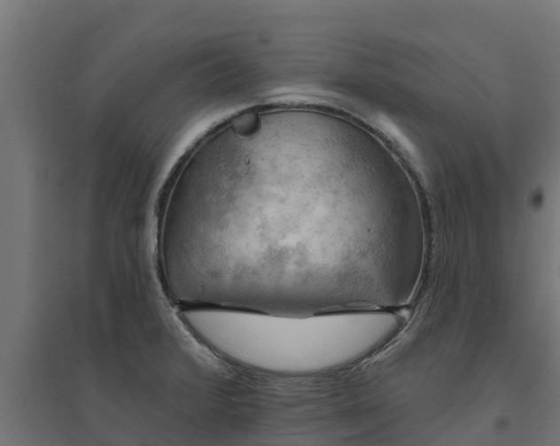 X0000094791376200711241352