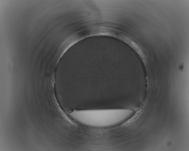 X0000094791377200711241352