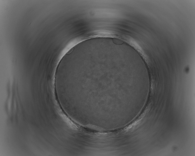 X0000094791378200711241352