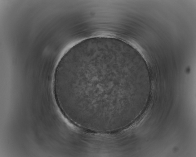 X0000094791379200711241352