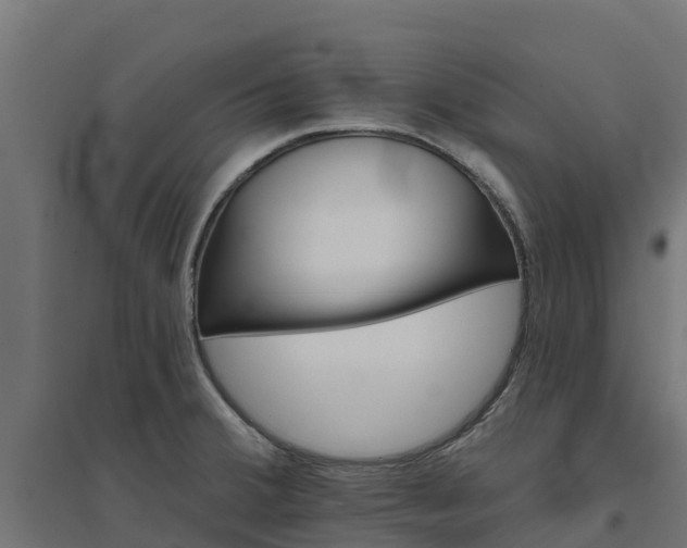 X0000094791380200711241352