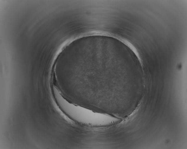 X0000094791381200711241352