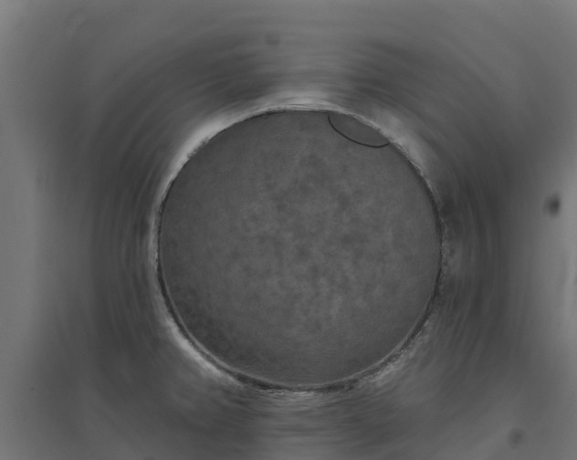 X0000094791382200711241352