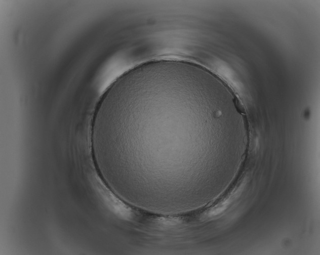 X0000094791384200711241352