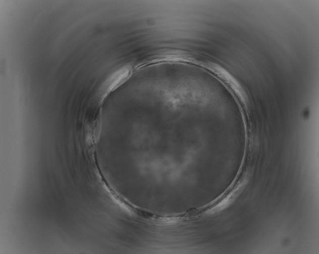 X0000094791385200711241352