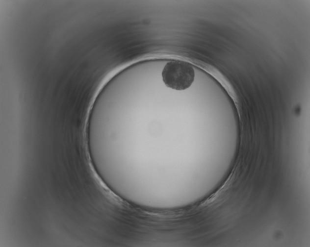 X0000094791388200711241352