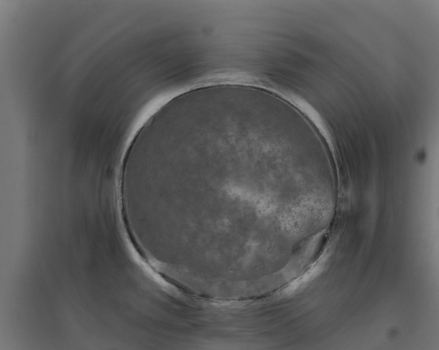 X0000094791389200711241352