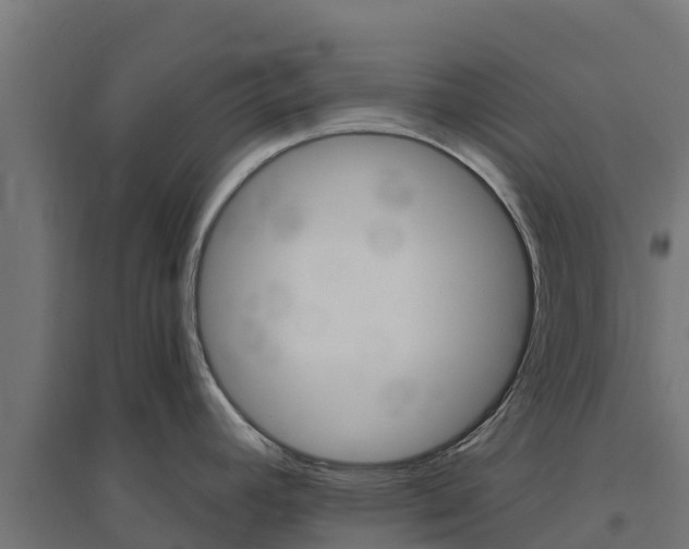 X0000094791392200711241351