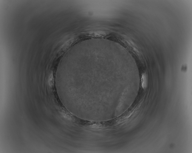 X0000094791395200711241351