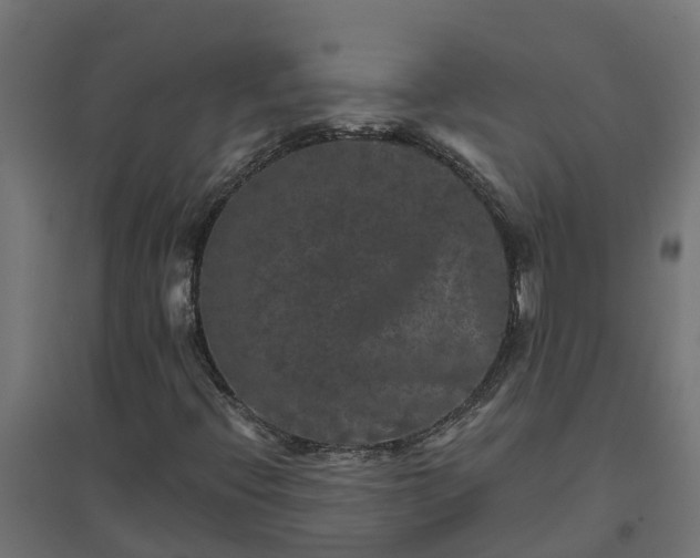 X0000094791396200711241351