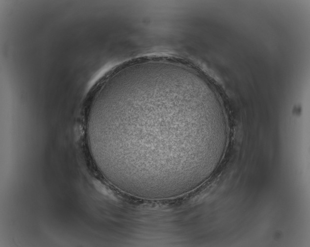 X0000094791400200711241351