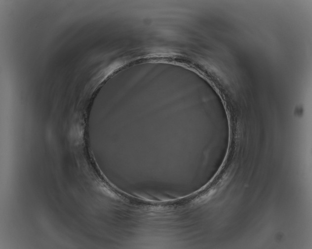 X0000094791401200711241351