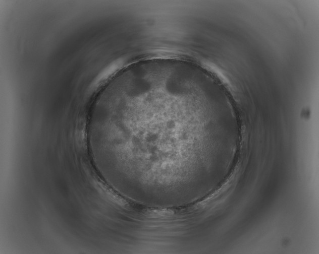 X0000094791403200711241351