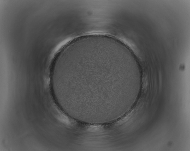 X0000094791406200711241351