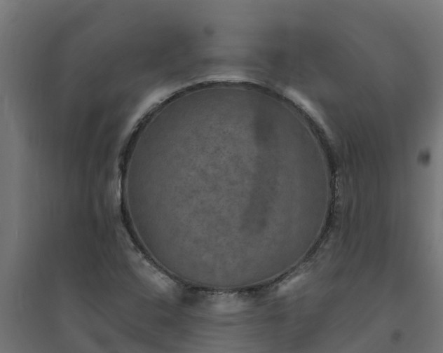 X0000094791408200711241351