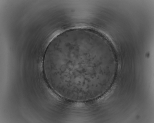 X0000094791409200711241351