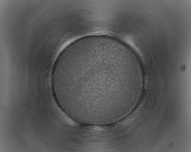 X0000094791412200711241351