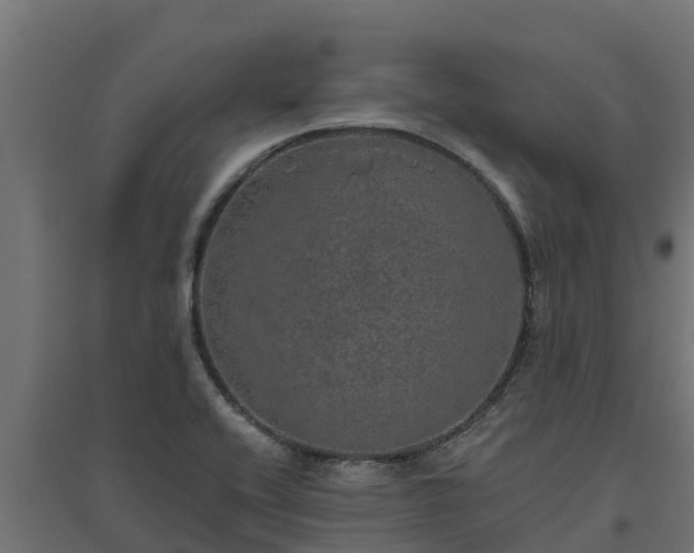 X0000094791416200711241351