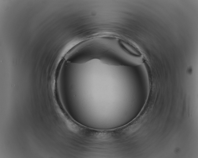 X0000094791418200711241351