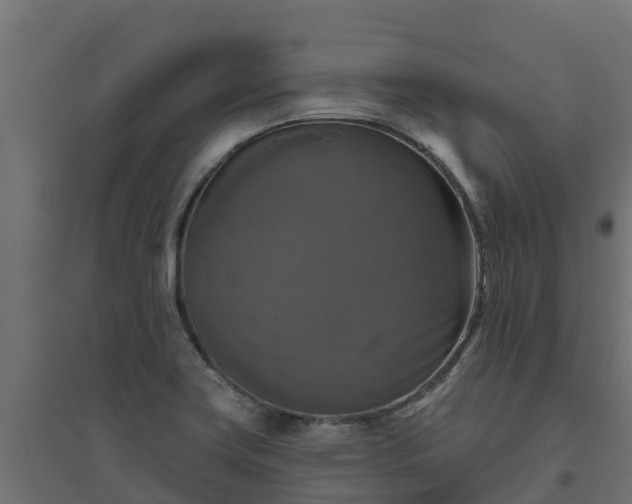 X0000094791419200711241351