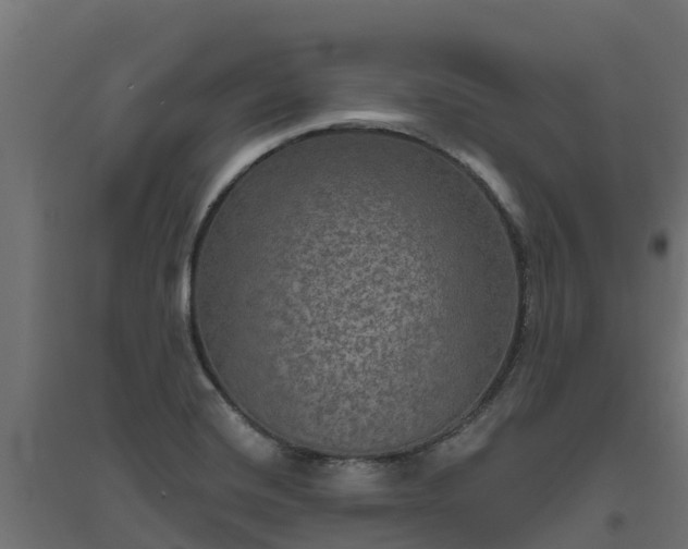 X0000094791420200711241351