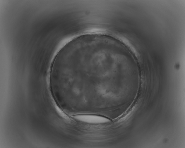 X0000094791421200711241351