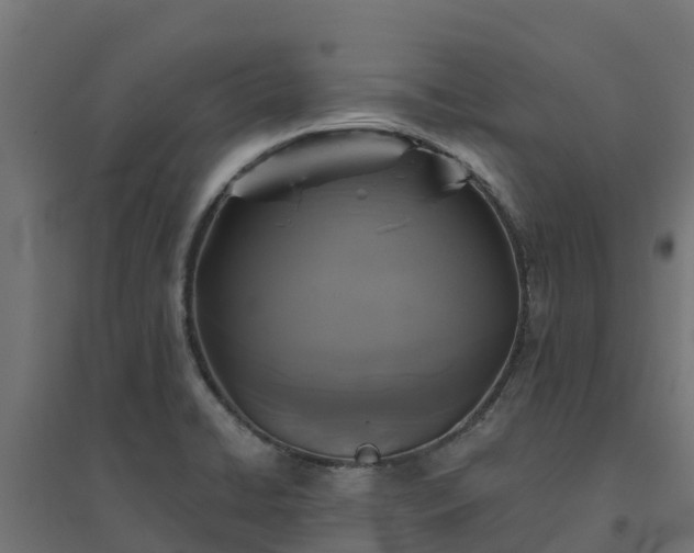 X0000094791422200711241351