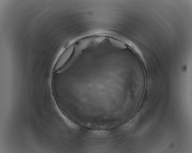 X0000094791429200711241351