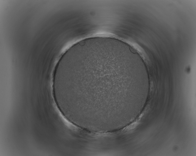 X0000094791430200711241351