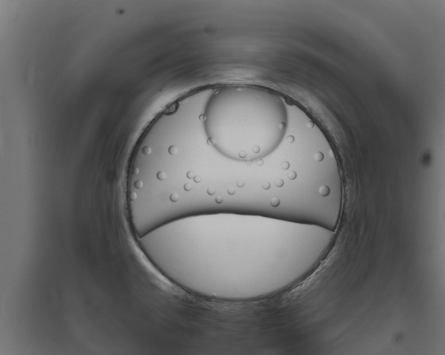 X0000094791432200711241351