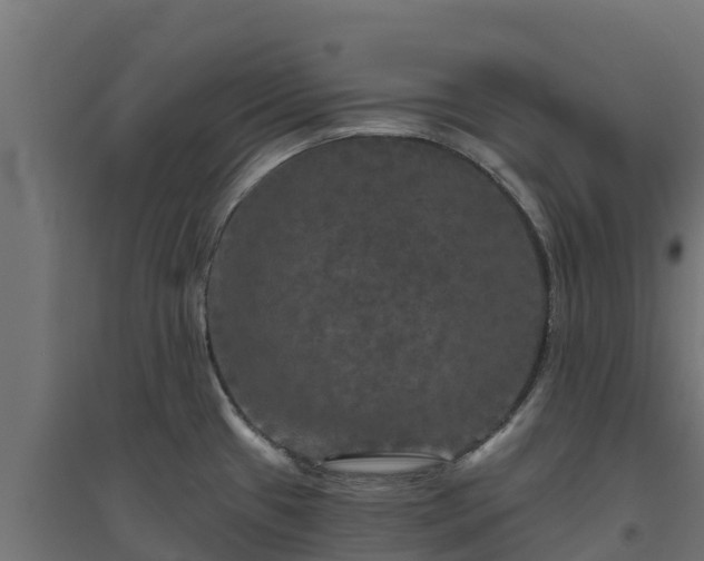 X0000094791433200711241351