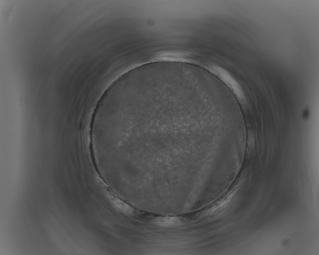 X0000094791435200711241351