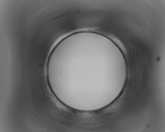 X0000094791436200711241351